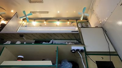 super cute virgin demonstrating her underpants at work