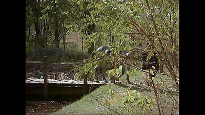 Blanca Nieves  2 XXX - Beastmaster Sex Enanos