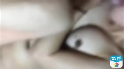 ã‚»ãƒ•ãƒ¬